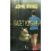 John Irving: SVIJET PO GARPU, roman